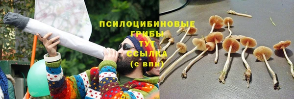 2c-b Горняк
