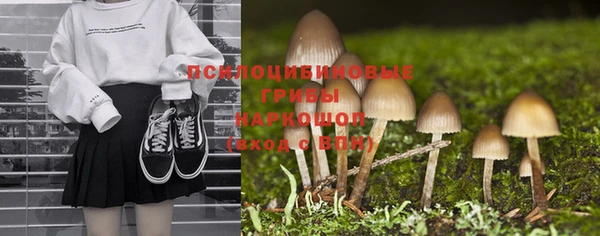 2c-b Горняк